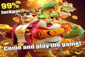 go33 Terms Conditions That Cover Your go33 Account